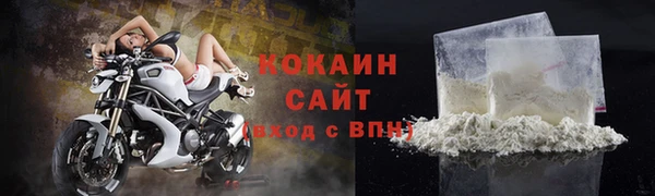 прущие грибы Богородск