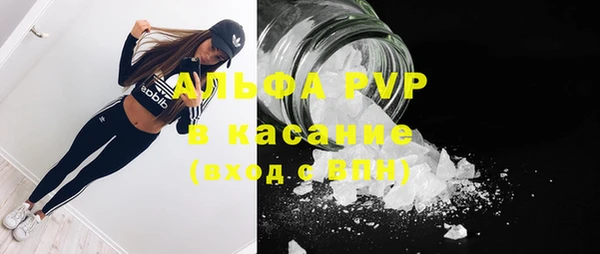 прущие грибы Богородск