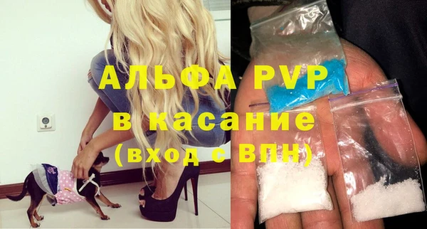 прущие грибы Богородск