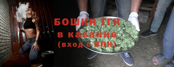прущие грибы Богородск