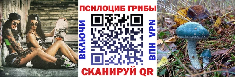 купить   Кохма  Галлюциногенные грибы GOLDEN TEACHER 